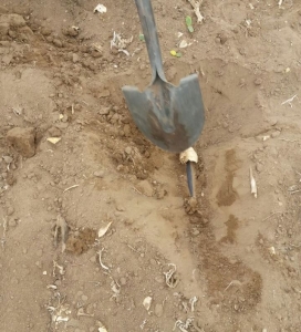 Irrigação subterrânea