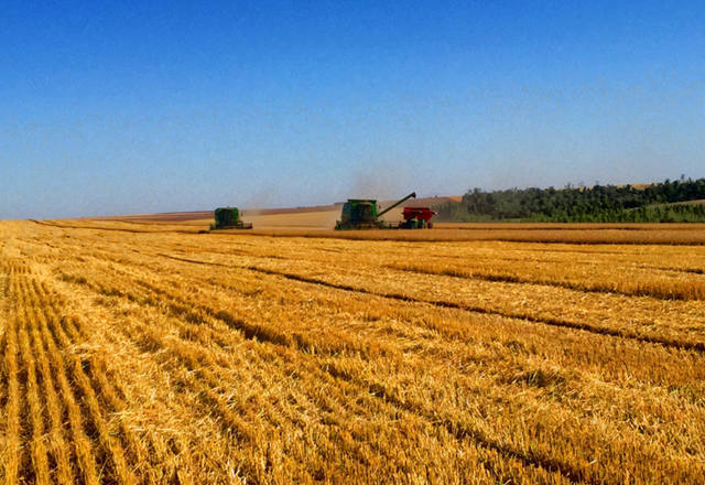 plano agrícola